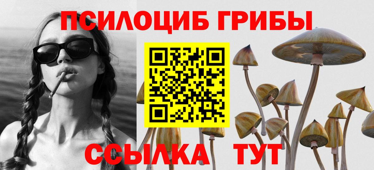 Сызрань  купить  сайты  Псилоцибиновые грибы мицелий  Вход с VPN  Галлюциногенные грибы мицелий 